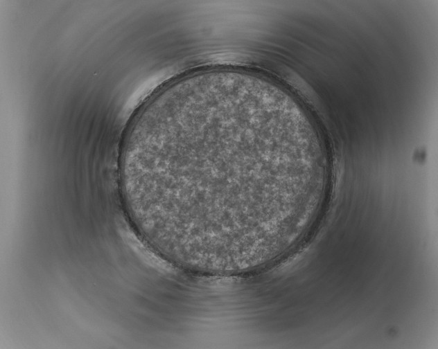 X0000112860930200909181757