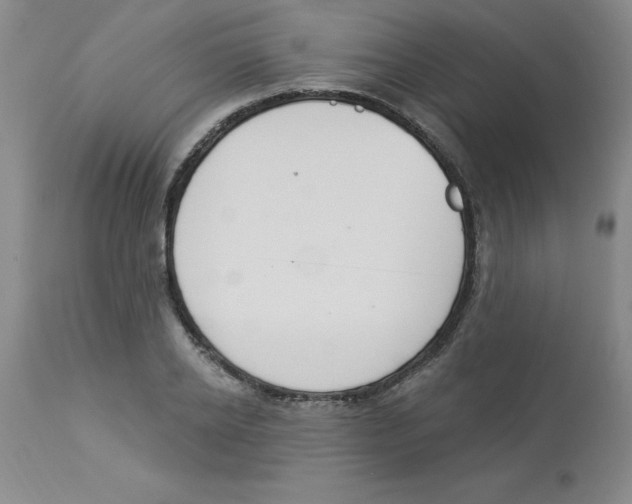 X0000112860934200909181757