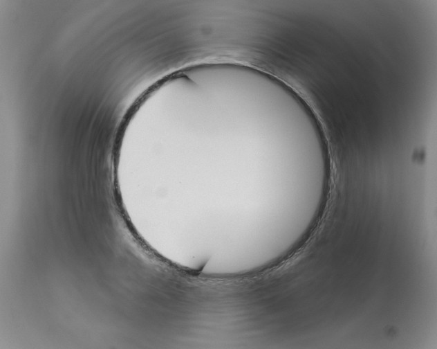 X0000112860936200909181757