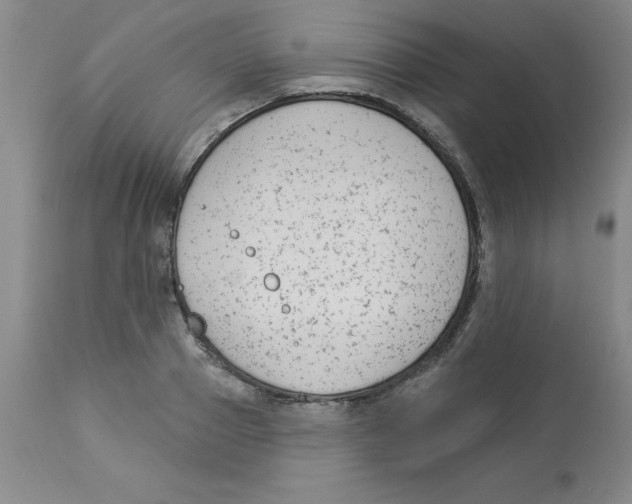 X0000112860937200909181757