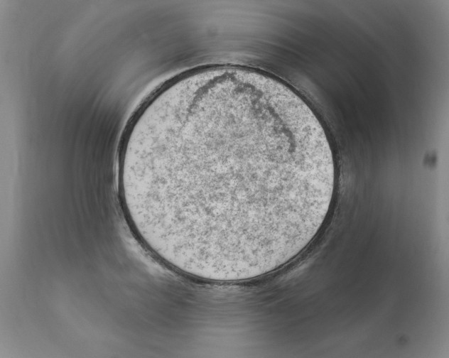 X0000112860940200909181757