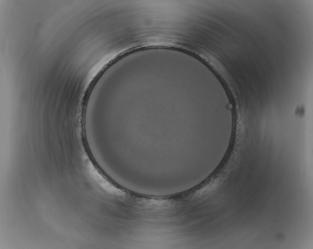 X0000112860941200909181757