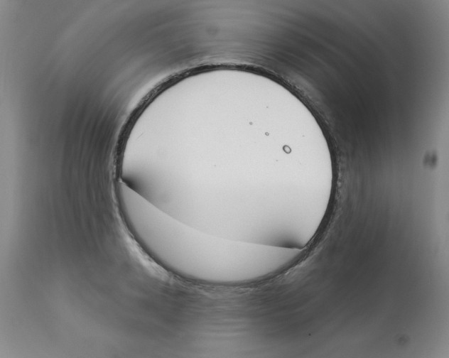 X0000112860942200909181758