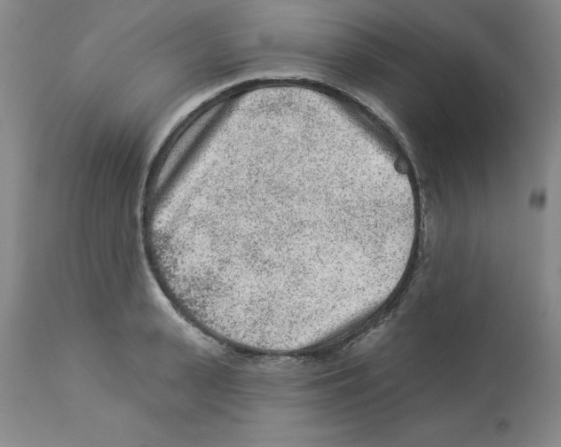 X0000112860943200909181758