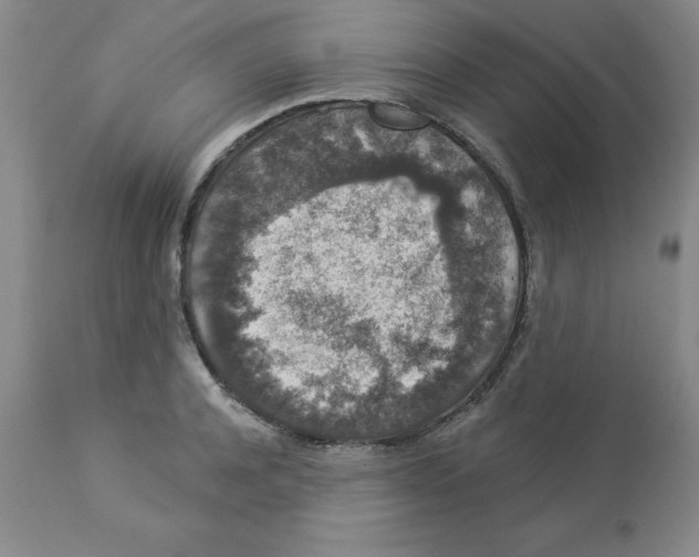 X0000112860944200909181758