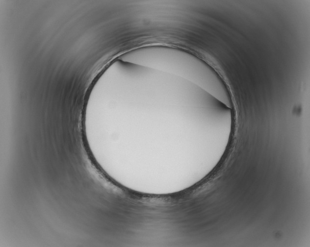 X0000112860946200909181758