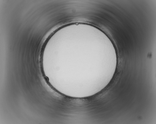 X0000112860947200909181758