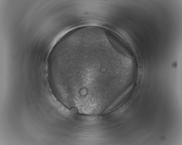 X0000112860948200909181758