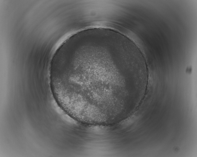 X0000112860950200909181758