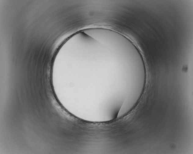 X0000112860952200909181758