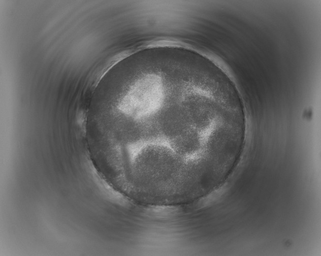 X0000112860953200909181758