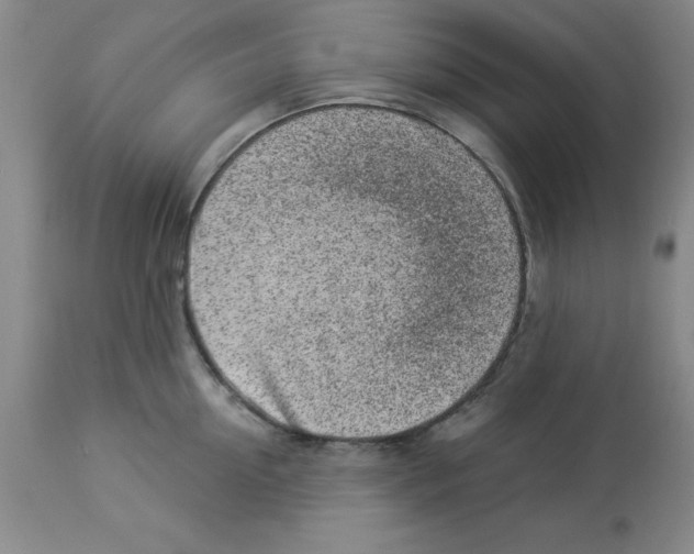 X0000112860954200909181758