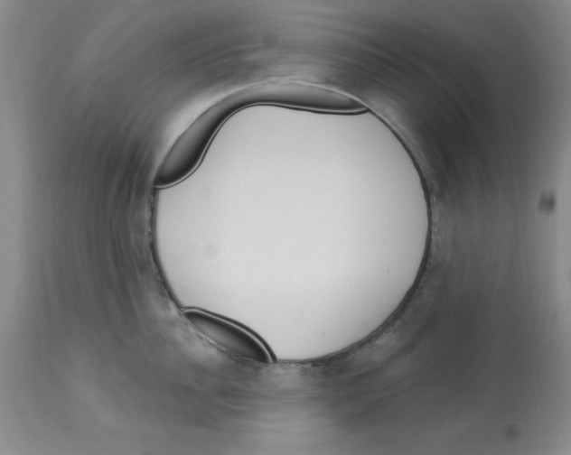 X0000112860956200909181758