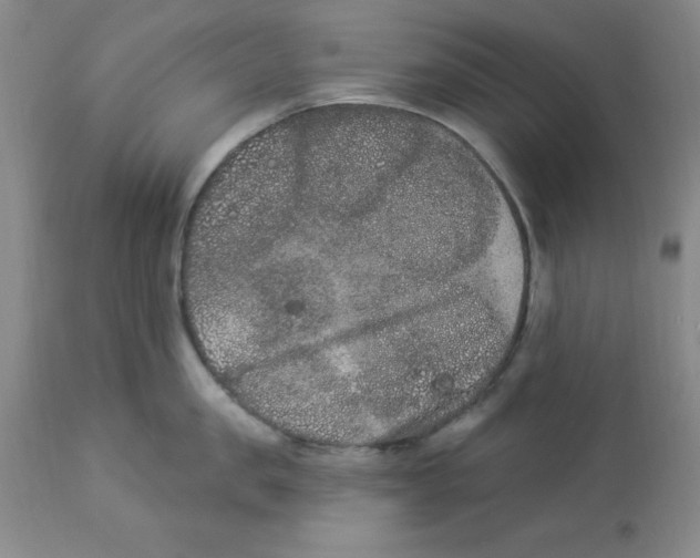 X0000112860957200909181758