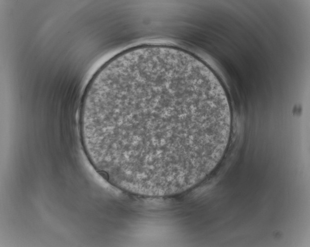 X0000112860959200909181758