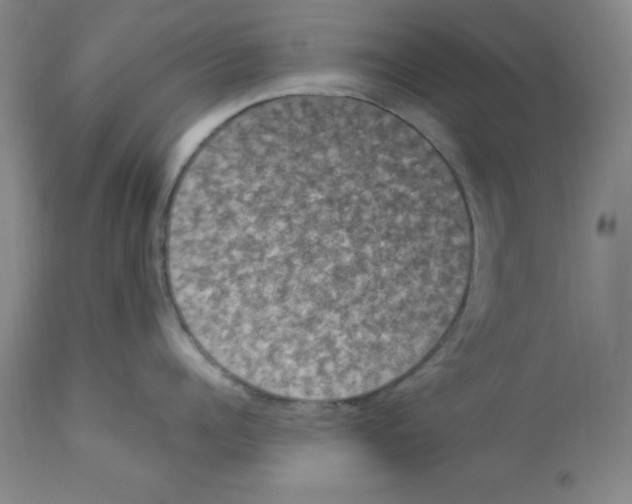 X0000112860960200909181758