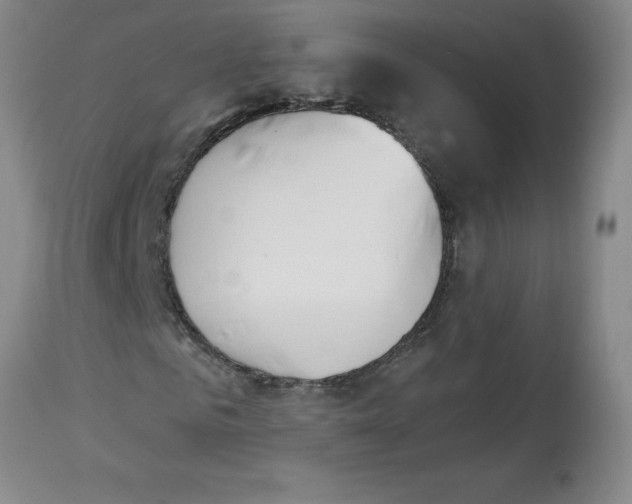 X0000112860961200909181757