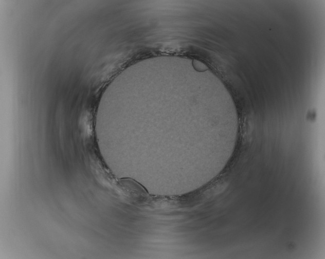 X0000112860962200909181757