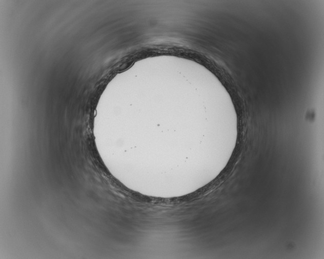 X0000112860965200909181757