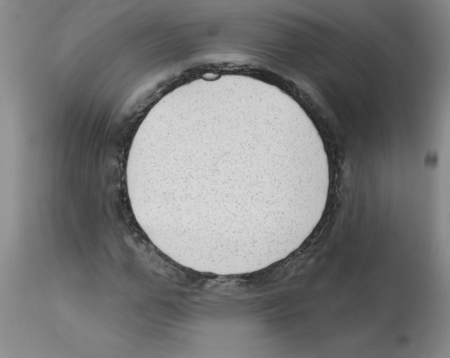 X0000112860967200909181757