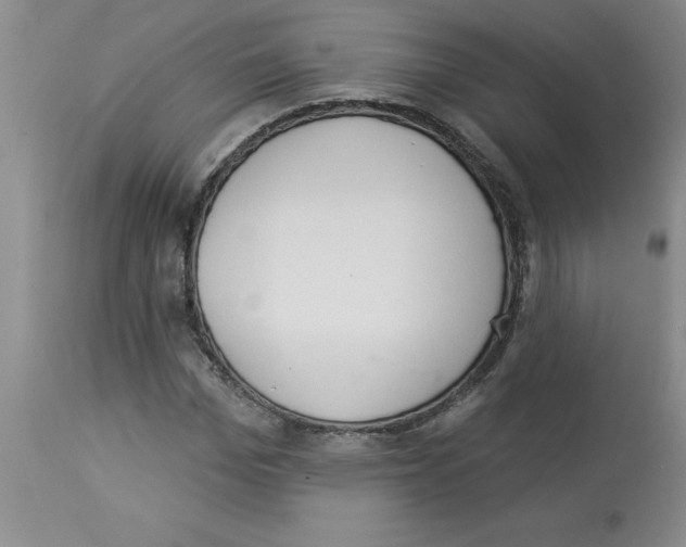 X0000112860969200909181757