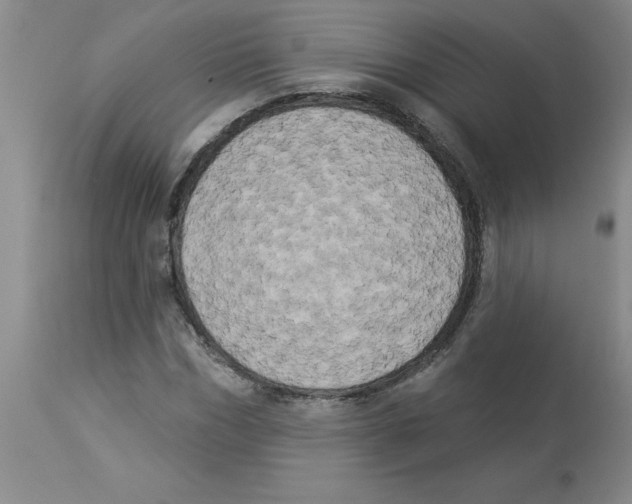 X0000112860970200909181757