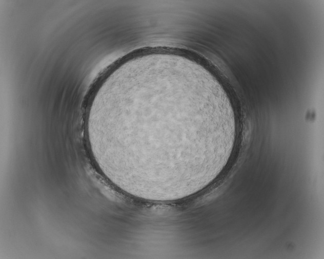 X0000112860974200909181757