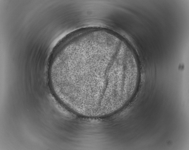 X0000112860975200909181757