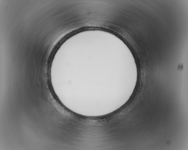 X0000112860976200909181757