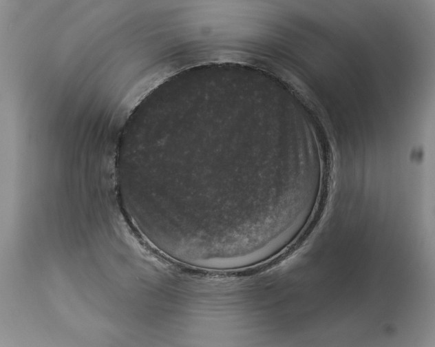 X0000112860977200909181757