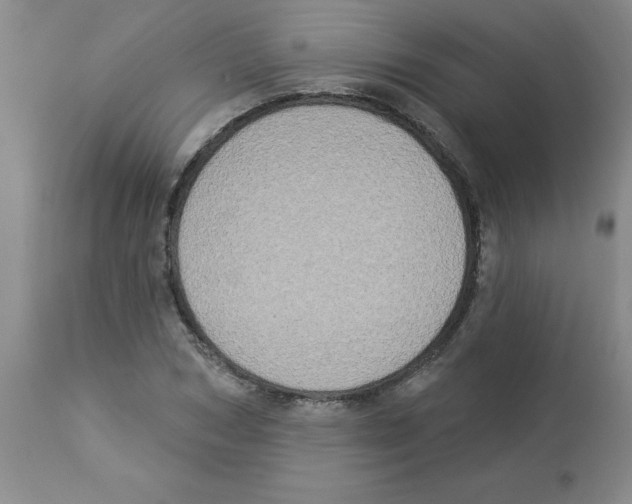 X0000112860978200909181757