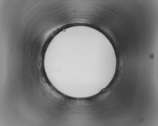 X0000112860979200909181757