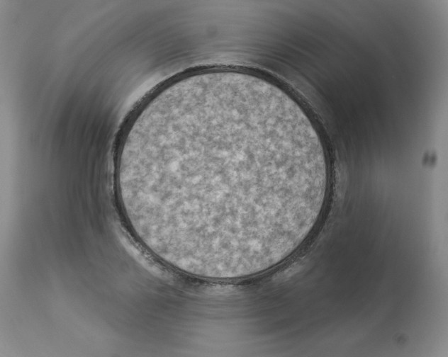 X0000112860982200909181757