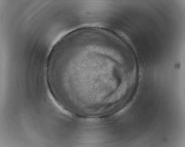 X0000112860989200909181757