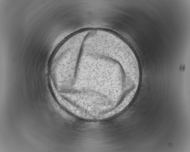 X0000112860990200909181757