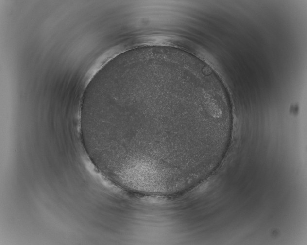 X0000112860994200909181756