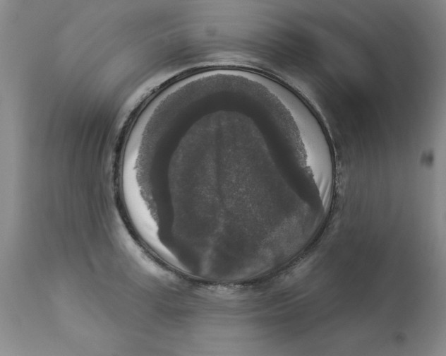 X0000112860995200909181756