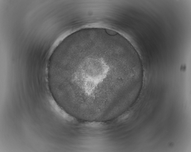 X0000112860998200909181756