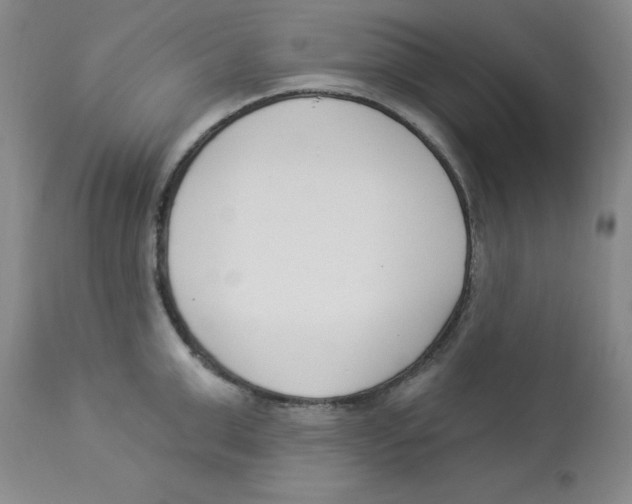 X0000112860999200909181756