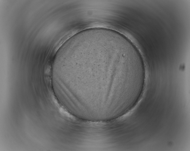 X0000112861001200909181756