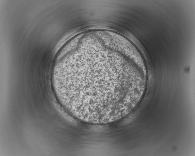 X0000112861002200909181756