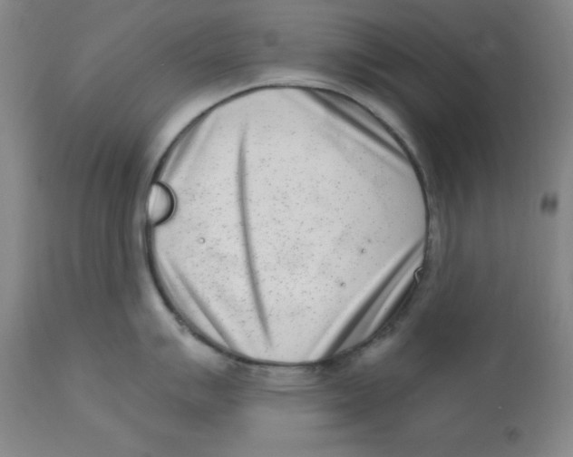 X0000112861007200909181756