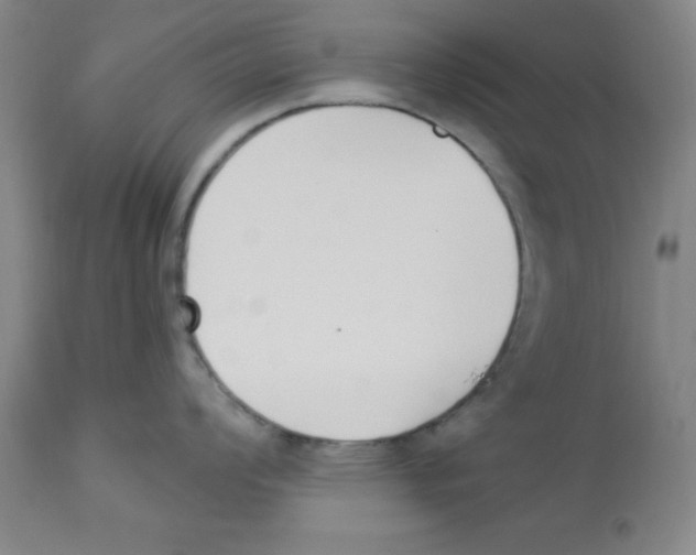 X0000112861008200909181756