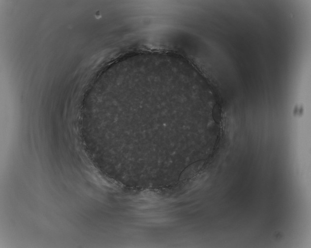 X0000112861009200909181755