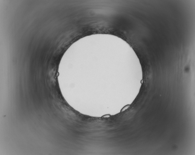 X0000112861010200909181755