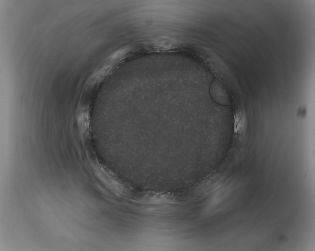 X0000112861011200909181755