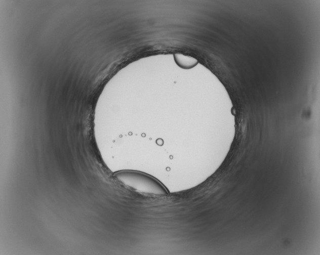 X0000112861012200909181755