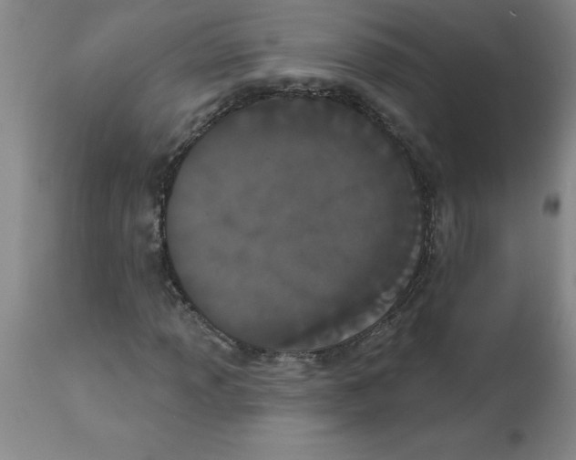 X0000112861013200909181755