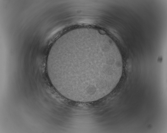 X0000112861015200909181755