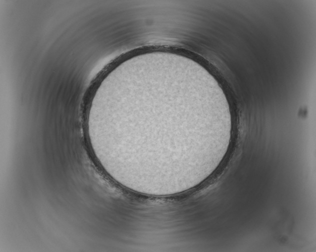 X0000112861022200909181755